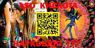 стаф Камышлов