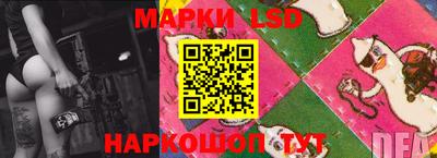 гашик Кандалакша