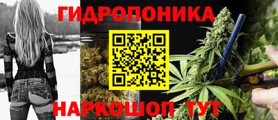 гашик Кандалакша