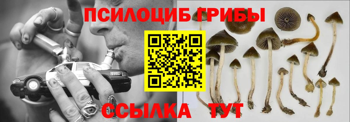 Псилоцибиновые грибы GOLDEN TEACHER  Вход с VPN  купить закладку  Десногорск 